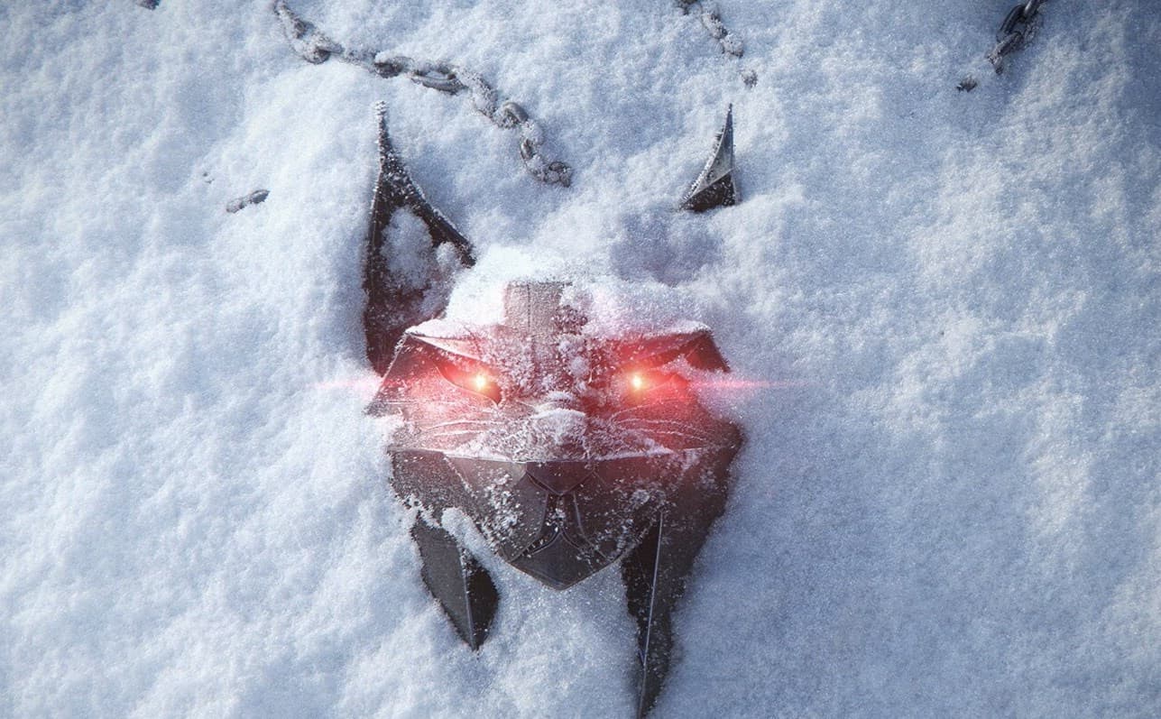 Visuel de The Witcher 4